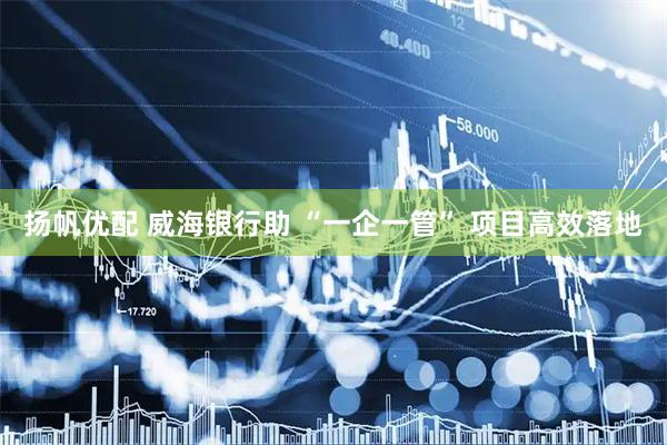 扬帆优配 威海银行助 “一企一管” 项目高效落地